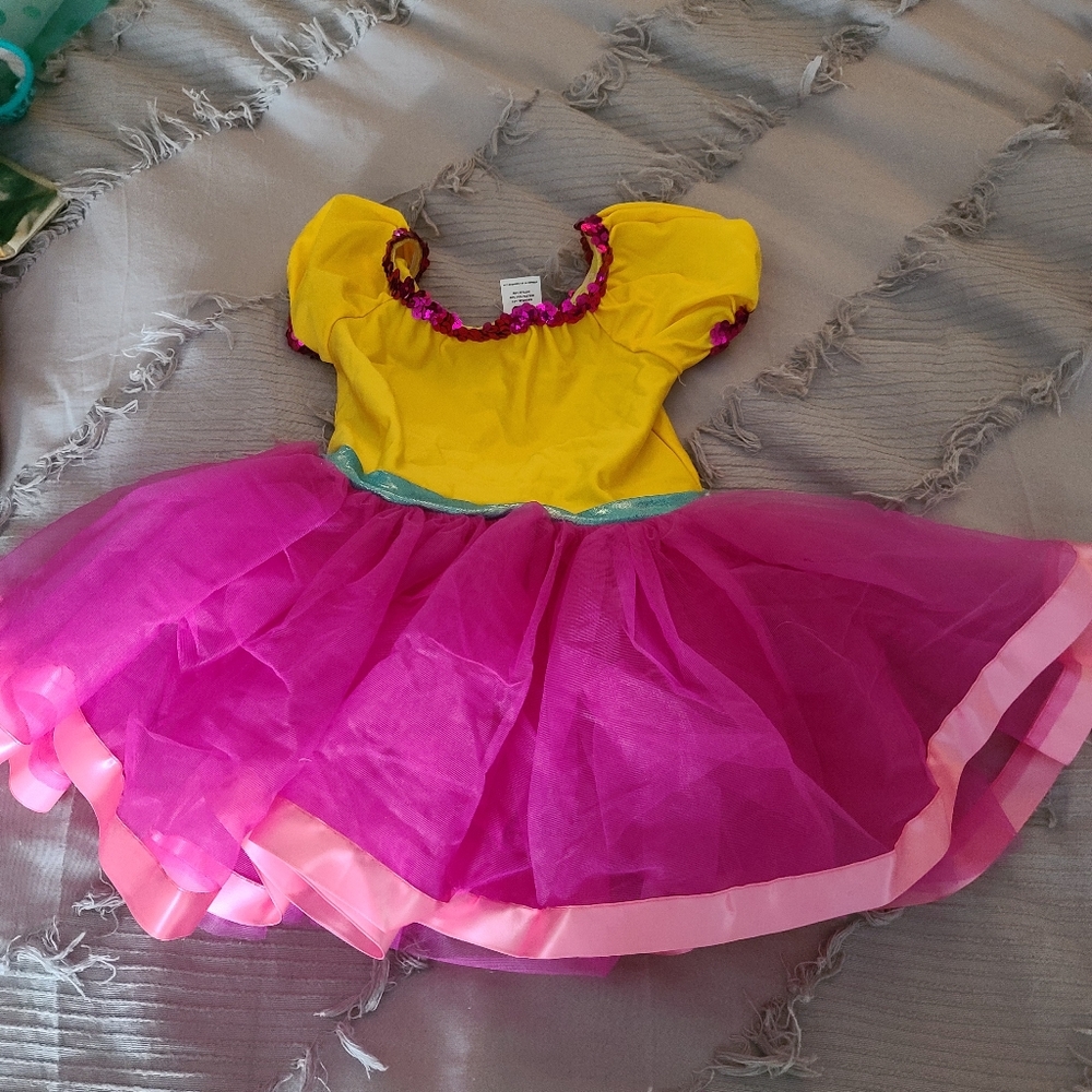 Dance Costume fancy nancy